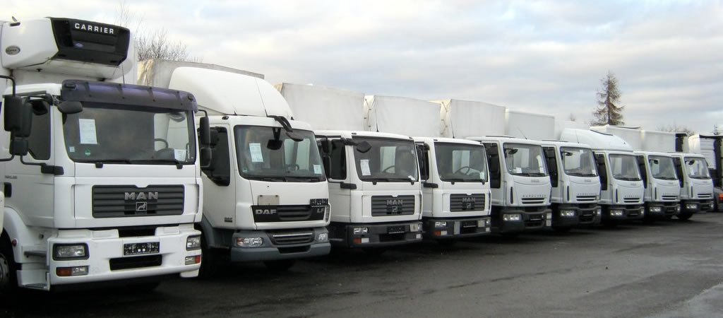 Sample of our fleet at the LOSL company 